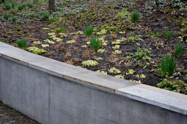 Concrete Wall Construction in Evansville